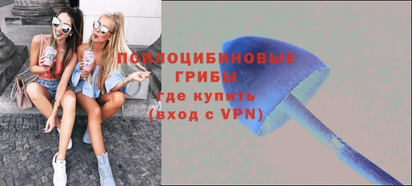 мяу мяу кристалл Богданович