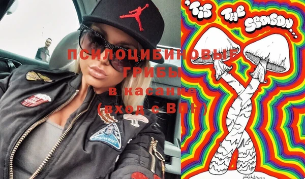 синтетический гашиш Богородицк