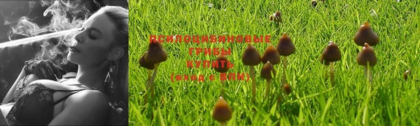 синтетический гашиш Богородицк