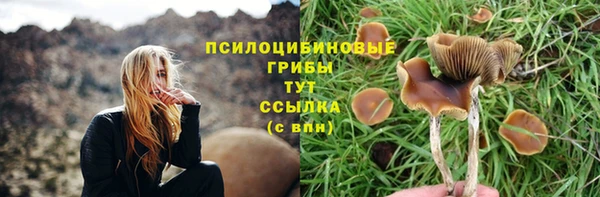 синтетический гашиш Богородицк
