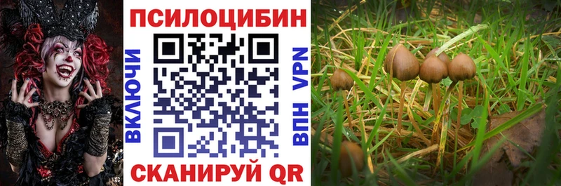 Галлюциногенные грибы Magic Shrooms  Михайлов 