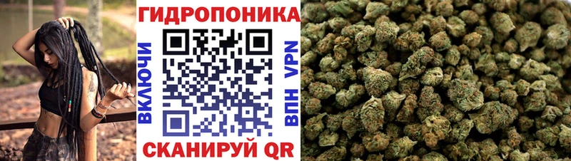 Бошки марихуана OG Kush  Михайлов 